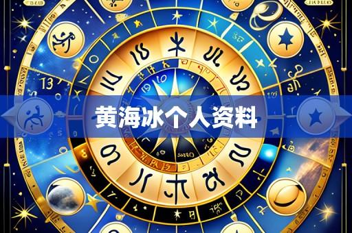 黄海冰个人资料