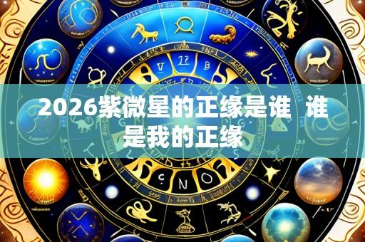 2026紫微星的正缘是谁 谁是我的正缘