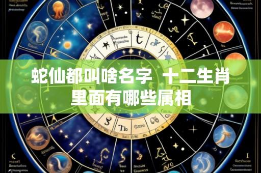 蛇仙都叫啥名字 十二生肖里面有哪些属相