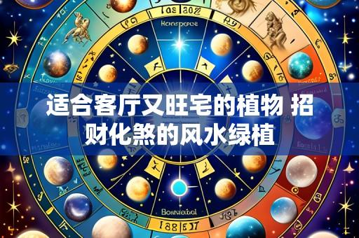 适合客厅又旺宅的植物 招财化煞的风水绿植