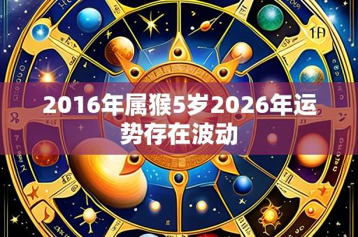 2016年属猴5岁2026年运势存在波动