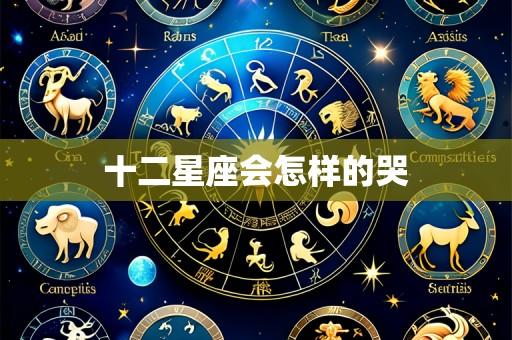 十二星座会怎样的哭