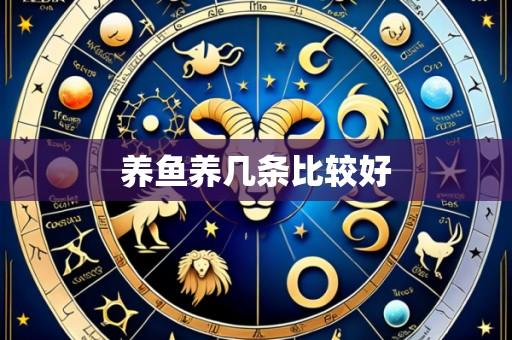养鱼养几条比较好