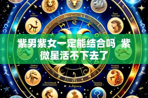 紫男紫女一定能结合吗 紫微星活不下去了