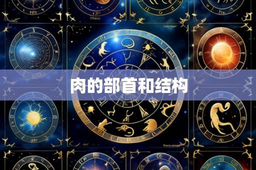 肉的部首和结构