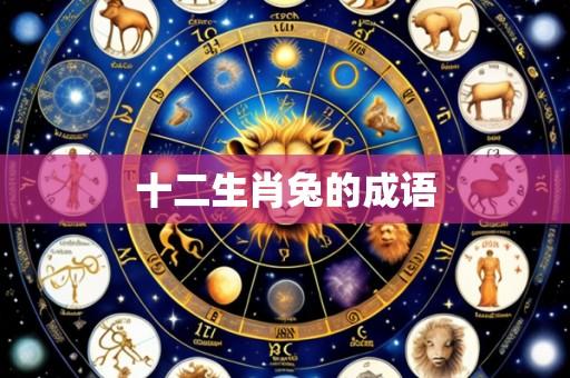 十二生肖兔的成语