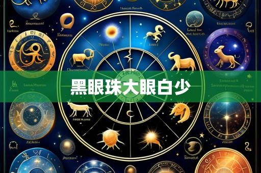 黑眼珠大眼白少
