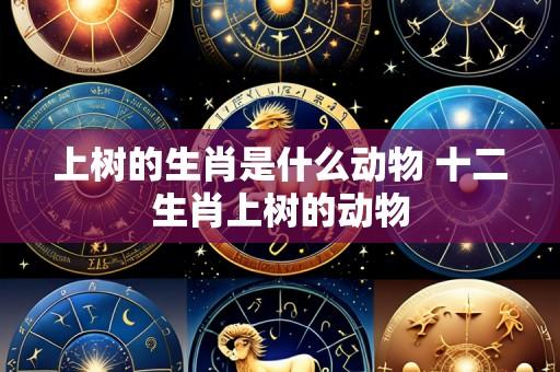 上树的生肖是什么动物 十二生肖上树的动物
