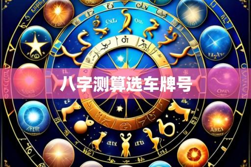 八字测算选车牌号