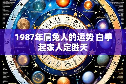 1987年属兔人的运势 白手起家人定胜天