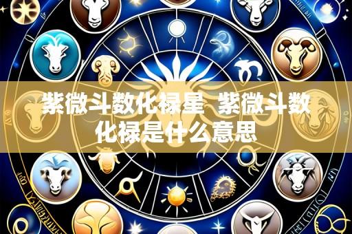 紫微斗数化禄星 紫微斗数化禄是什么意思