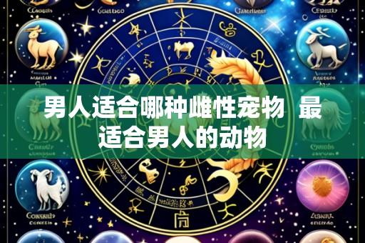 男人适合哪种雌性宠物  最适合男人的动物