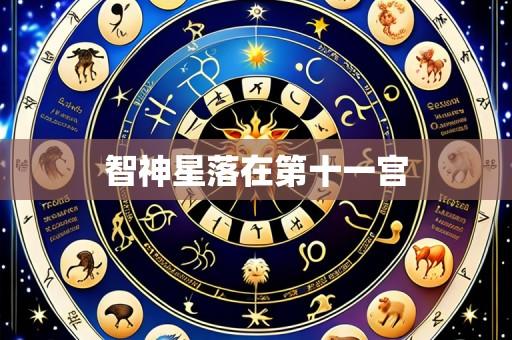智神星落在第十一宫