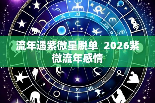 流年遇紫微星脱单  2026紫微流年感情