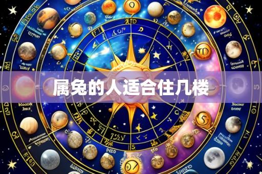 属兔的人适合住几楼