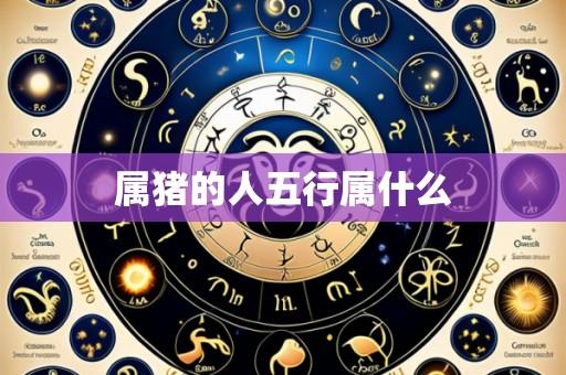 属猪的人五行属什么