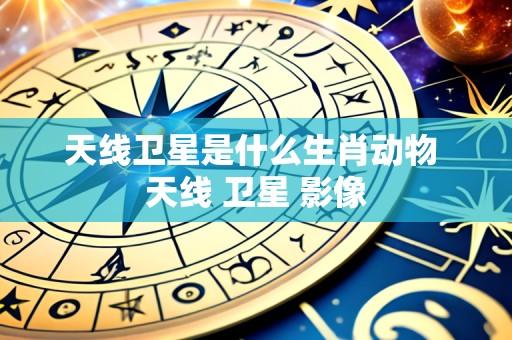 天线卫星是什么生肖动物 天线 卫星 影像