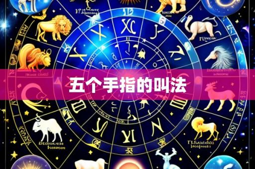 五个手指的叫法