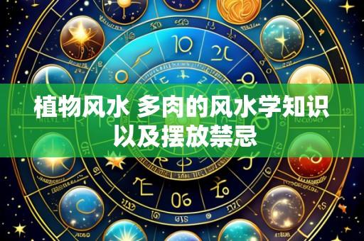 植物风水 多肉的风水学知识 以及摆放禁忌