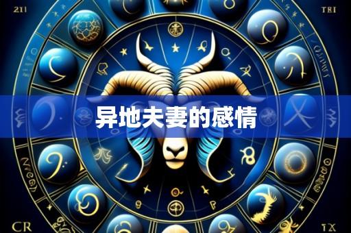 异地夫妻的感情