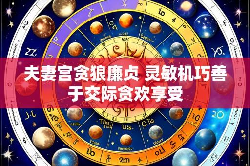 夫妻宫贪狼廉贞 灵敏机巧善于交际贪欢享受