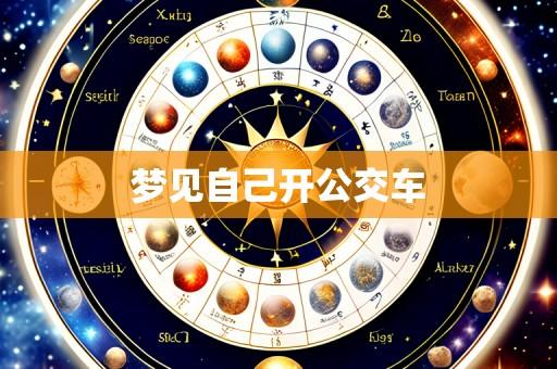 梦见自己开公交车