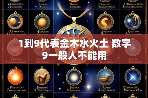 1到9代表金木水火土 数字9一般人不能用