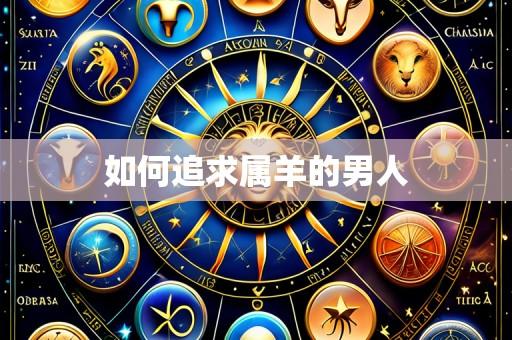 如何追求属羊的男人