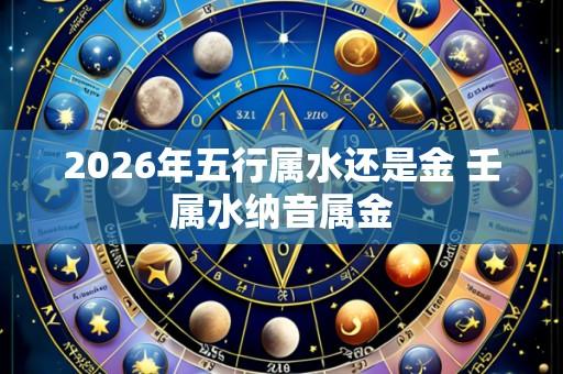 2026年五行属水还是金 壬属水纳音属金