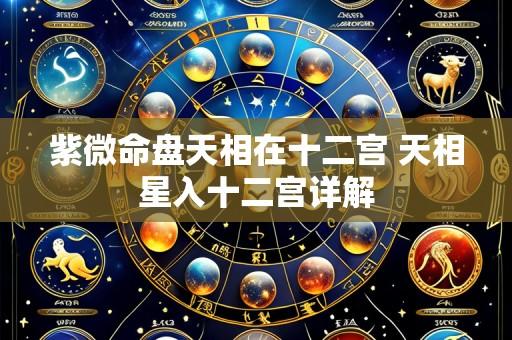 紫微命盘天相在十二宫 天相星入十二宫详解
