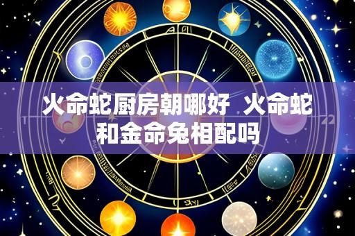 火命蛇厨房朝哪好  火命蛇和金命兔相配吗