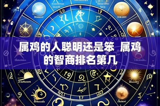 属鸡的人聪明还是笨  属鸡的智商排名第几