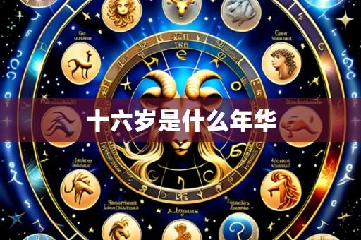 十六岁是什么年华