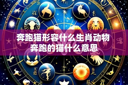 奔跑猫形容什么生肖动物 奔跑的猫什么意思
