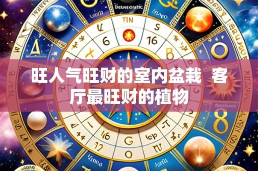 旺人气旺财的室内盆栽  客厅最旺财的植物