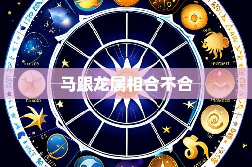 马跟龙属相合不合