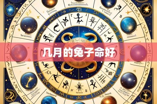 几月的兔子命好