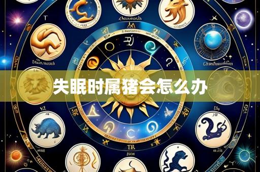 失眠时属猪会怎么办