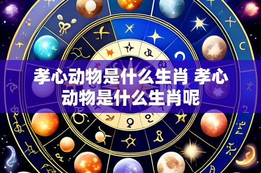 孝心动物是什么生肖 孝心动物是什么生肖呢