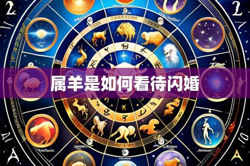 属羊是如何看待闪婚