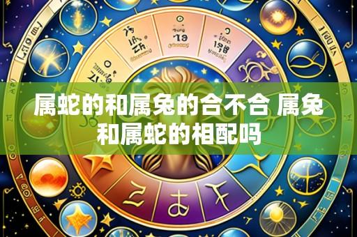 属蛇的和属兔的合不合 属兔和属蛇的相配吗