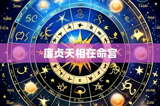 廉贞天相在命宫