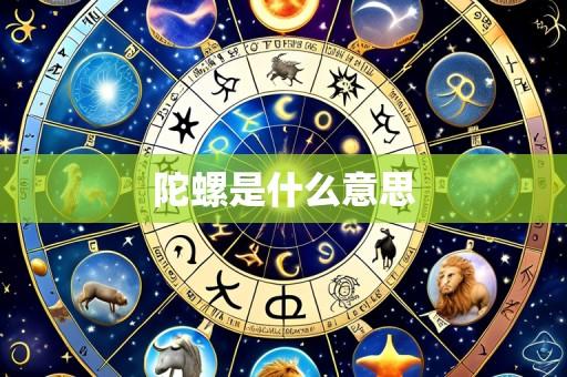 陀螺是什么意思