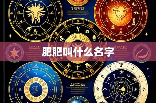 肥肥叫什么名字