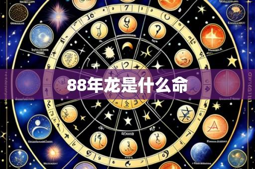 88年龙是什么命