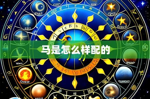 马是怎么样配的