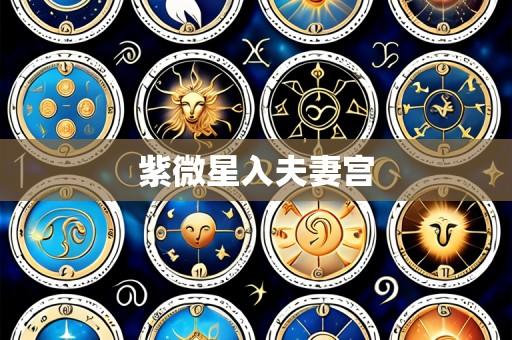 紫微星入夫妻宫