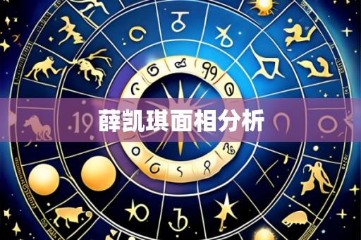 薛凯琪面相分析