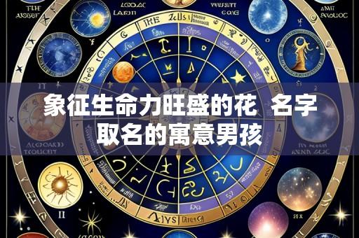 象征生命力旺盛的花 名字取名的寓意男孩