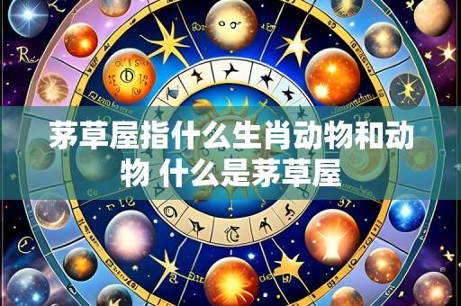 茅草屋指什么生肖动物和动物 什么是茅草屋